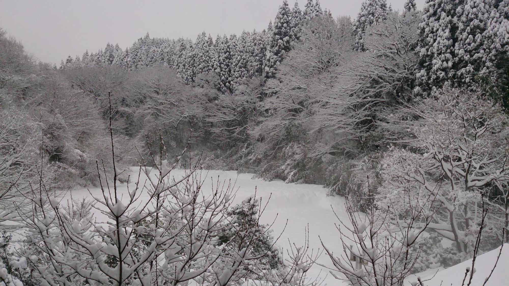 Kurokawa Onsen Ryokan Ichinoi Minamioguni Zewnętrze zdjęcie