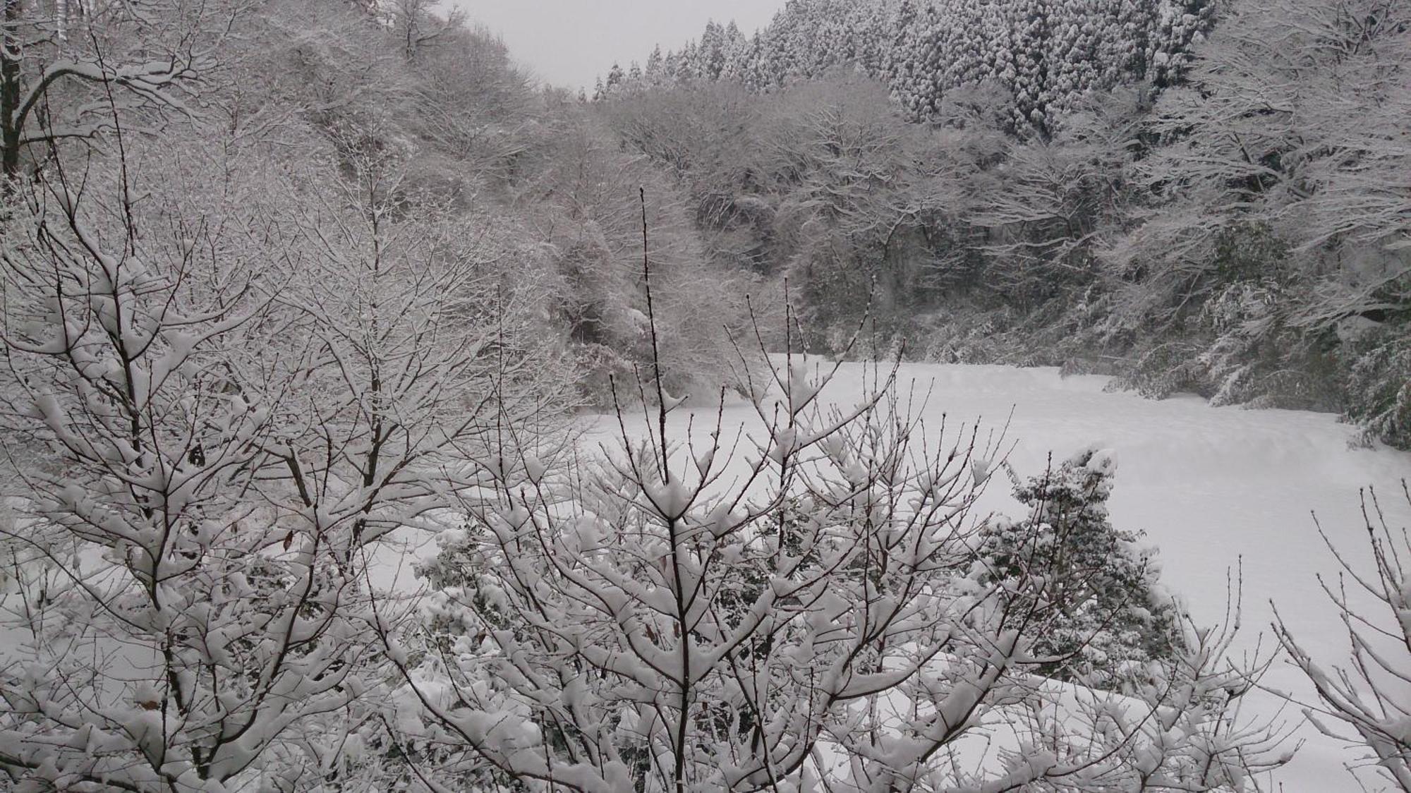 Kurokawa Onsen Ryokan Ichinoi Minamioguni Zewnętrze zdjęcie