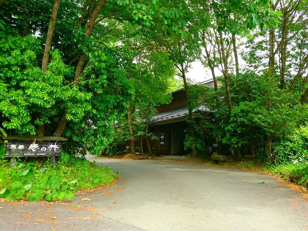Kurokawa Onsen Ryokan Ichinoi Minamioguni Zewnętrze zdjęcie